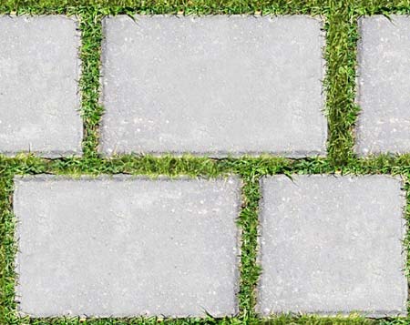 سود خرید ملک در شمال؛ سرمایه‌گذاری مطمئن با بازدهی چندجانبه